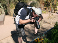 Picture